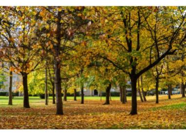 Programme immobilier neuf appart Dugny