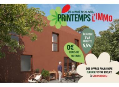 Immobilier neuf Strasbourg : Terra Rossa