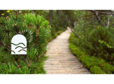 Programme immobilier neuf appart Moliets-et-Maa