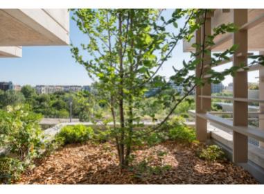 Programme immobilier Montpellier