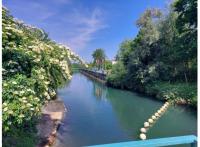 Programme neuf Huningue : Jardin des Eaux Vives