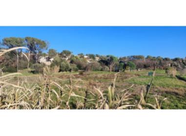Domaine Rosea Appartements programme neuf Fréjus