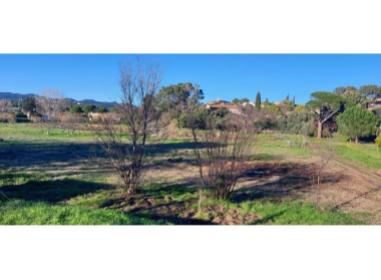 Projet immobilier Fréjus : Domaine Rosea Appartements