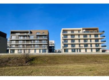 Logement neuf Haguenau : Confidences