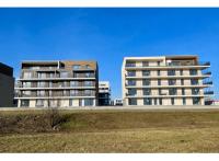 Logement neuf Haguenau : Confidences