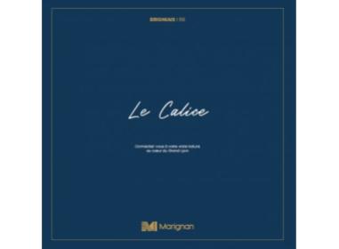 Logement neuf Brignais : Le Calice
