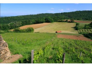 Projet immobilier Saint-Romain-au-Mont-d'Or : Les Jardins du Moulin