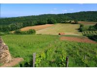 Projet immobilier Saint-Romain-au-Mont-d'Or : Les Jardins du Moulin