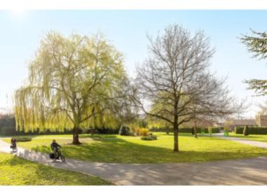 Orchies programme neuf  Florescence