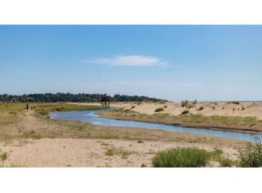 Programme neuf Saint-Brevin-les-Pins : ALBATROS