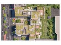 Montrouge programme neuf Gravure