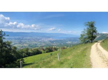 Programme immobilier Beaumont
