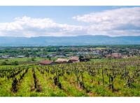 Programme neuf Loisin : Villa des Sens