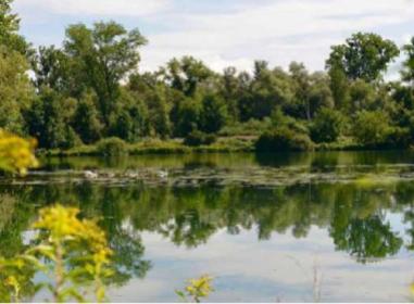 Strasbourg programme neuf  Urbanéo Rue de la Ganzau