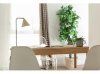 Appart Marseille 6ème