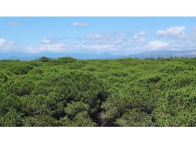 Programme immobilier neuf appart Le Barcares