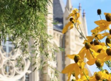 Programme immobilier neuf appart Orvault