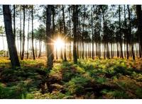 Immobilier neuf Soustons : Bleu du Sud