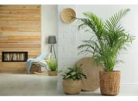 Logement neuf Soustons : Bleu du Sud