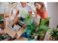Logement neuf Cenon : Les Terrasses de Palmer