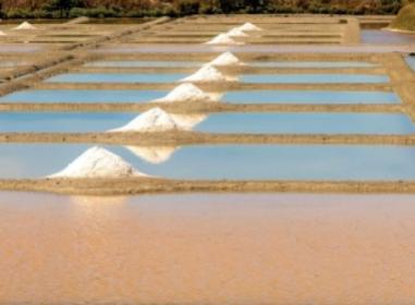Projet immobilier Guérande : Les Salines