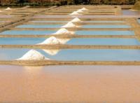Projet immobilier Guérande : Les Salines