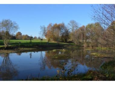 Programme immobilier Onde