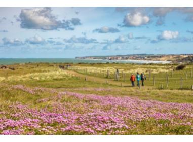 Projet immobilier Ambleteuse : Cap Nature