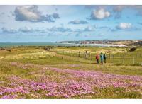 Projet immobilier Ambleteuse : Cap Nature