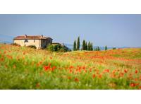 Programme neuf Orange : Heliodore