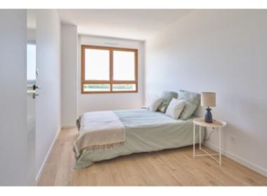 Immobilier neuf Metz : Millesime -