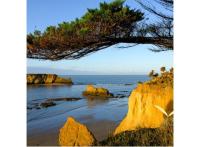 Programme immobilier neuf appart Penestin