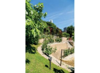 Programme neuf Puteaux : Villa Sakura