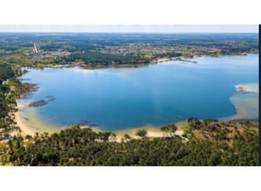 Logement neuf Sanguinet : Villa Pelïou