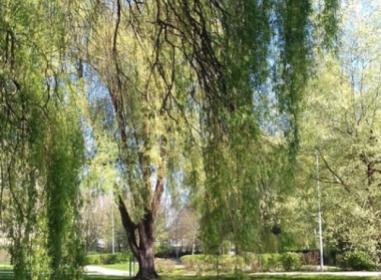 Les Loges Bressanes programme neuf Bourg-en-Bresse