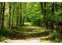 Villenave-d'Ornon programme neuf Le Clos des Sens