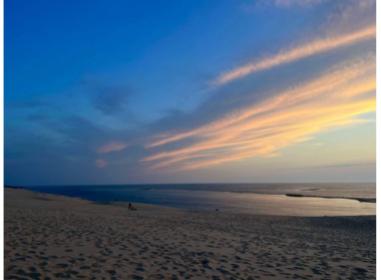 Villas Beaurivage programme neuf Arcachon