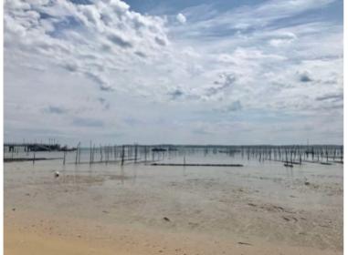 Programme neuf Arcachon : Villas Beaurivage