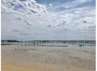 Programme neuf Arcachon : Villas Beaurivage