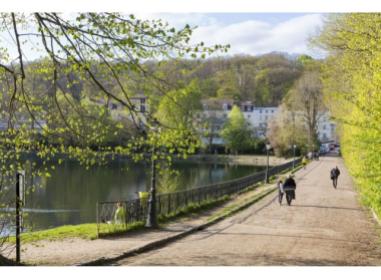 Les Villas d'Eugénie programme neuf Ville-d'Avray