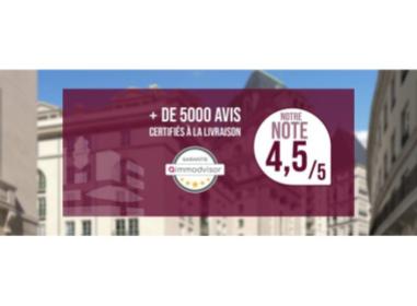 Le Céleste Immobilier neuf Le Blanc Mesnil