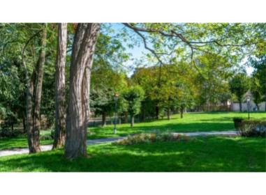 Morsang-sur-Orge programme neuf  L'Écrin des Coteaux