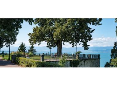 Logement neuf Thonon-les-Bains : Jardins sur le Lac