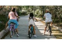 Programme immobilier neuf appart La Ville-aux-Dames