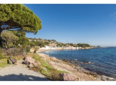 Roquebrune-sur-Argens programme neuf  Le Hameau des Oliviers
