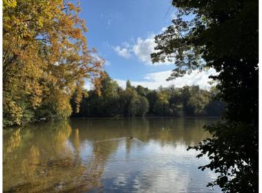 Programme immobilier neuf appart Strasbourg