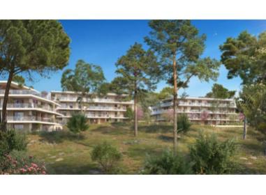 Logement neuf Valbonne : Skyline