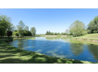 Programme immobilier neuf maison Annoeullin