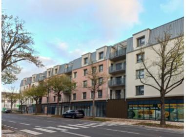 Projet immobilier Bourges : Villas Ginkgos le Biloba