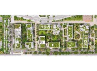 Projet immobilier Annecy : Hypnose - Quartier des Hirondelles